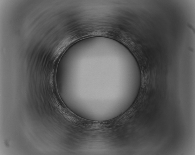 X0000103220098200809111517