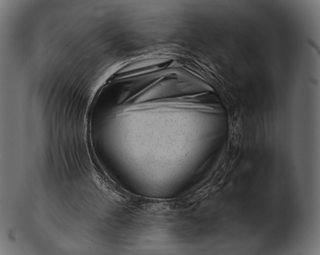 X0000103220100200809111517