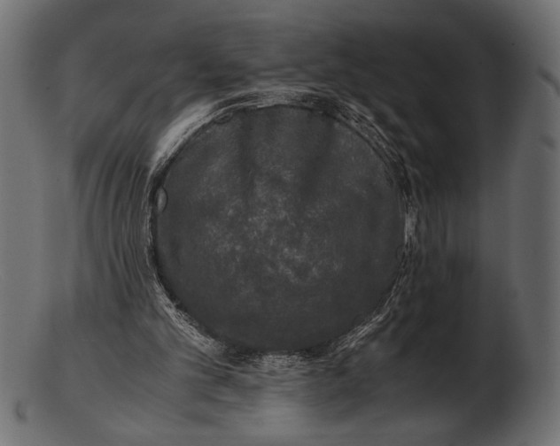 X0000103220101200809111517