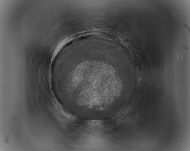 X0000103220102200809111517