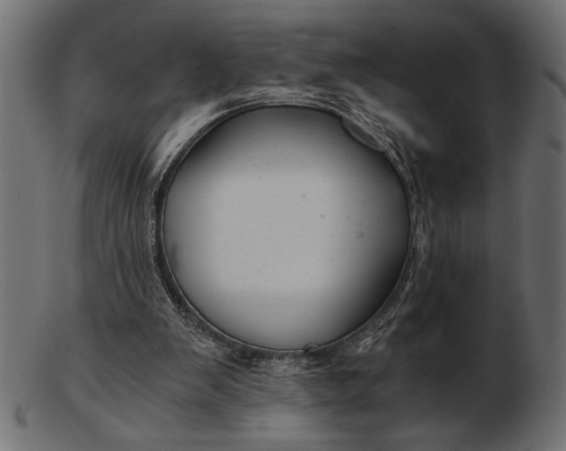 X0000103220103200809111517