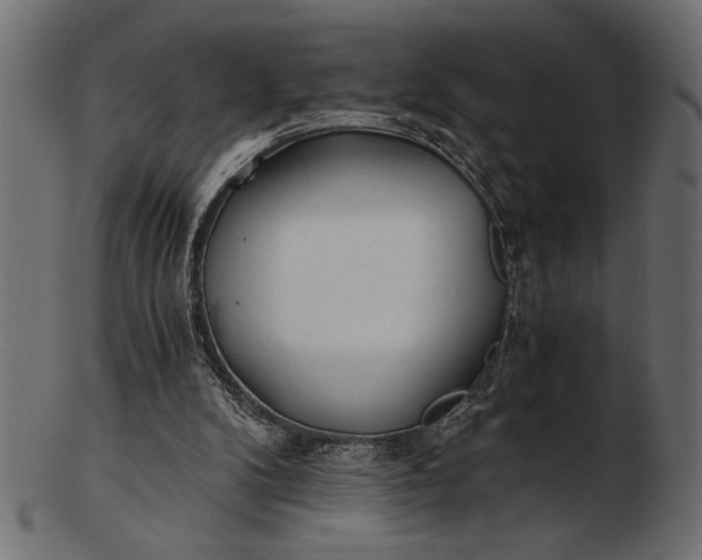 X0000103220104200809111517