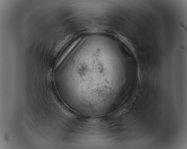 X0000103220105200809111517