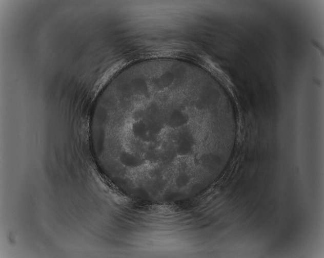 X0000103220107200809111517