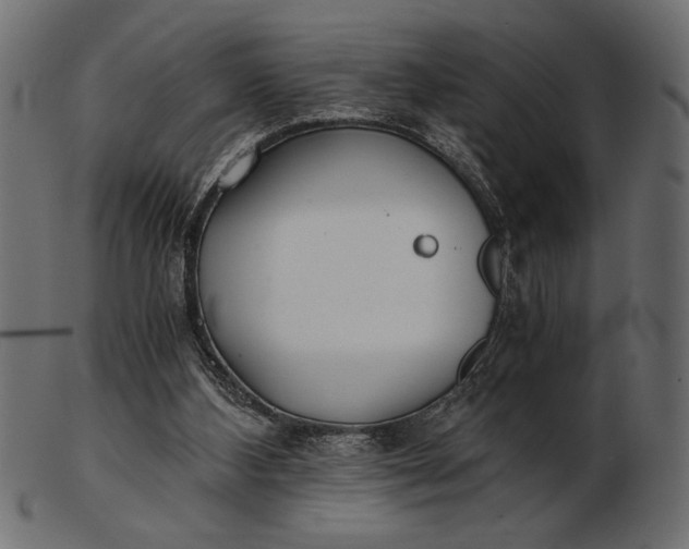 X0000103220108200809111516