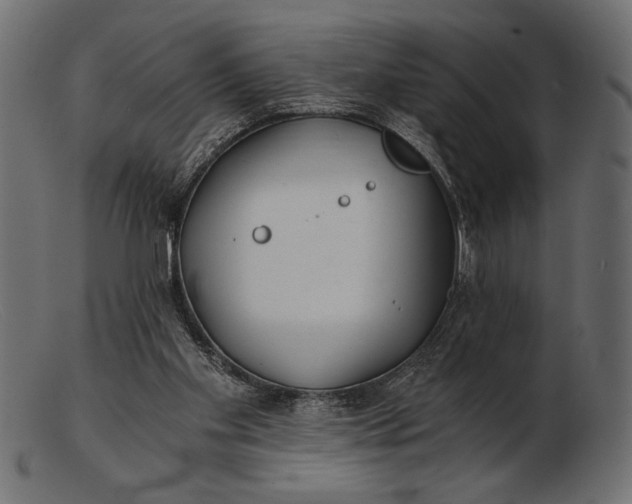 X0000103220109200809111516