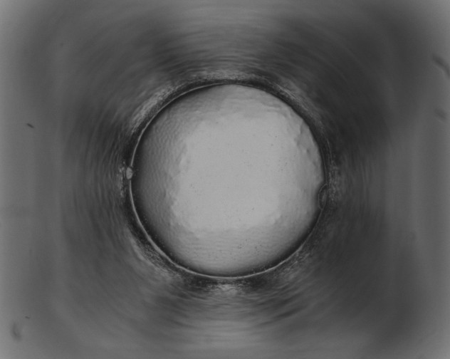 X0000103220111200809111516