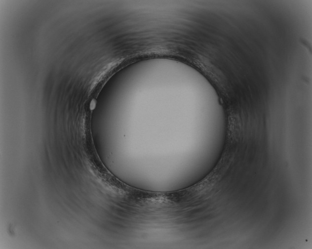 X0000103220112200809111516