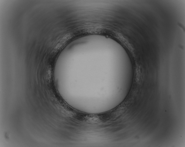 X0000103220113200809111516