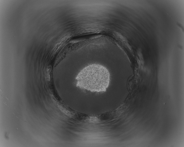 X0000103220114200809111516