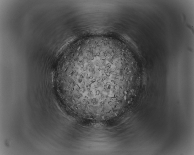 X0000103220115200809111516