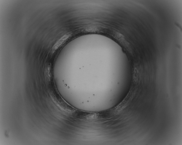 X0000103220116200809111516