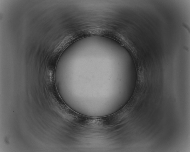 X0000103220117200809111516