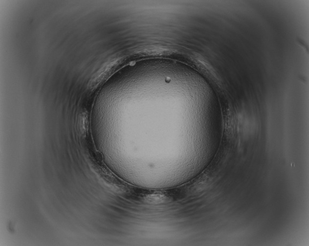 X0000103220119200809111516