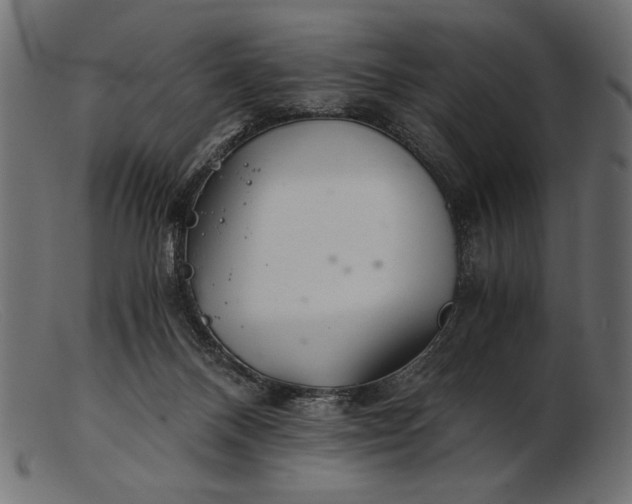 X0000103220120200809111516