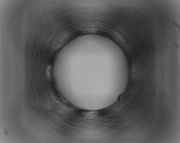 X0000103220122200809111516