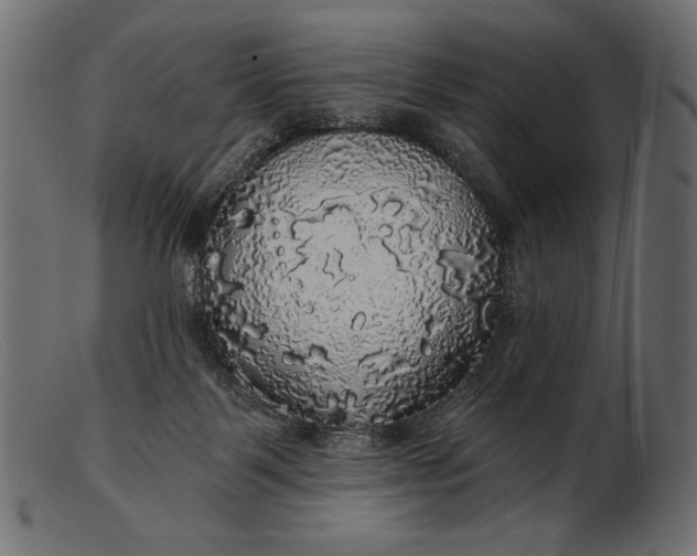 X0000103220123200809111516