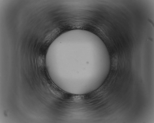 X0000103220126200809111516