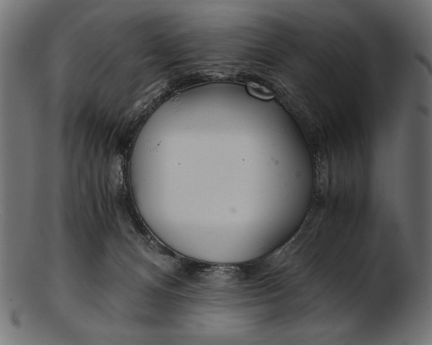 X0000103220128200809111516