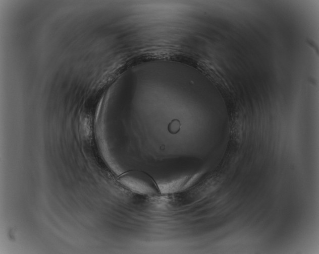 X0000103220131200809111516