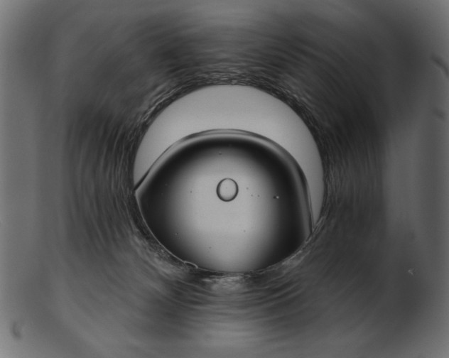 X0000103220132200809111516