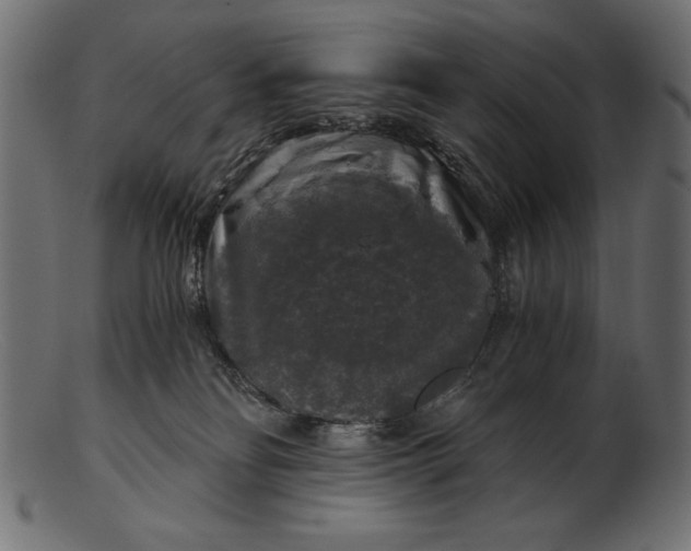 X0000103220134200809111516