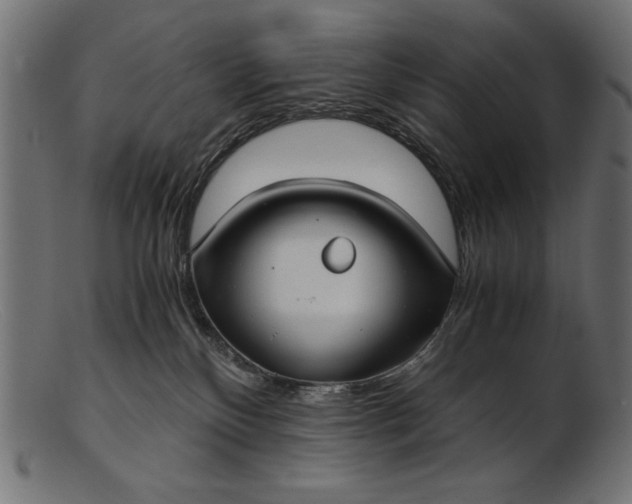 X0000103220136200809111516