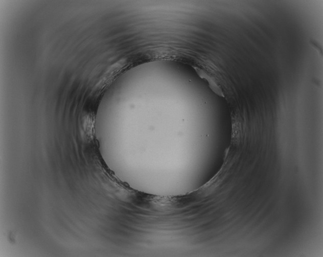 X0000103220142200809111516