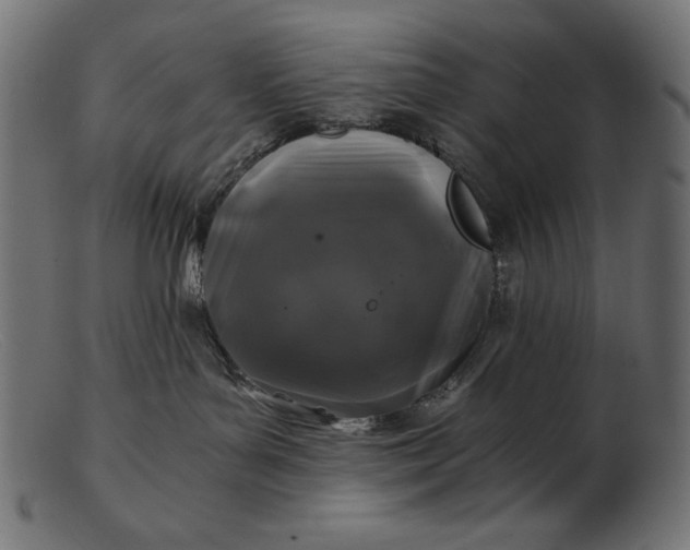 X0000103220143200809111516