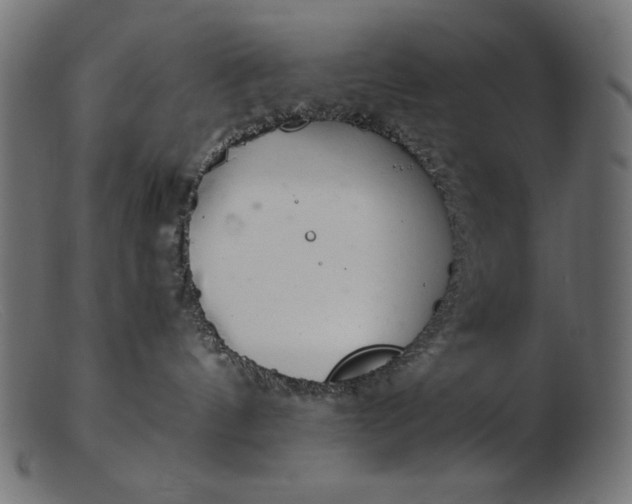 X0000103220144200809111516