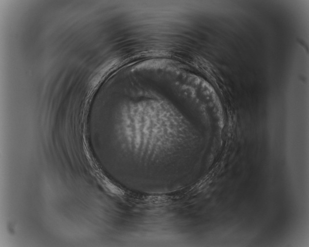 X0000103220145200809111515