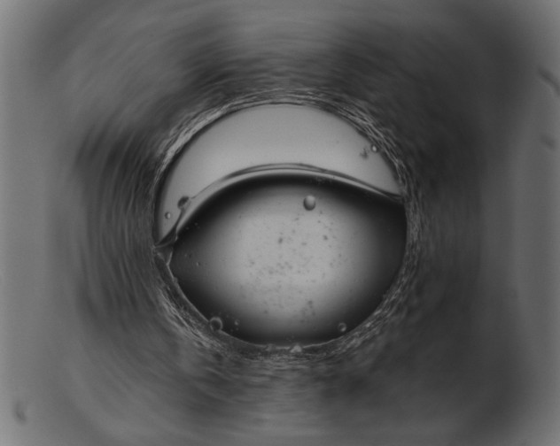 X0000103220146200809111515