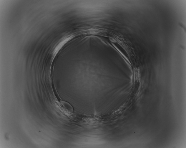 X0000103220147200809111515