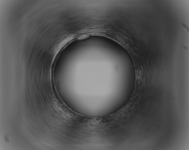 X0000103220148200809111515