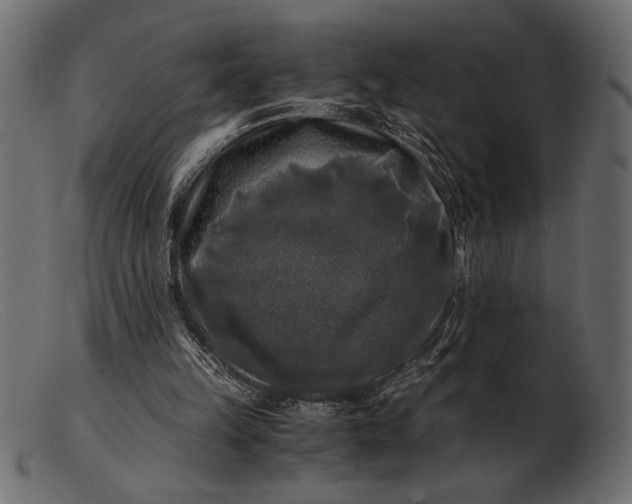 X0000103220149200809111515