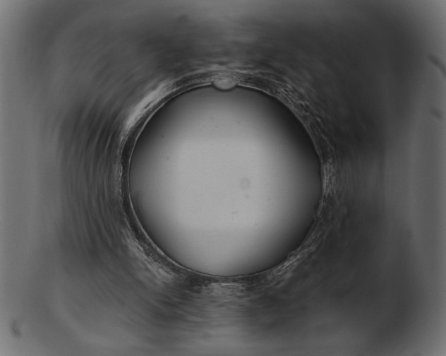 X0000103220150200809111515