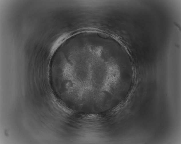 X0000103220151200809111515