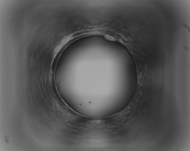 X0000103220152200809111515