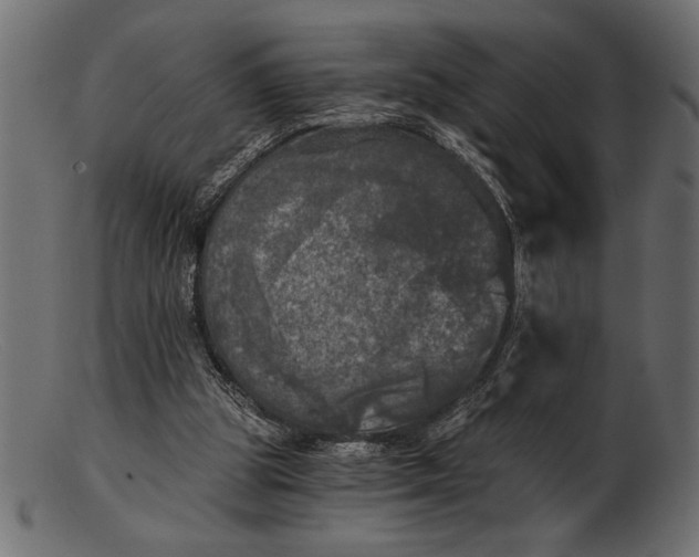 X0000103220153200809111515