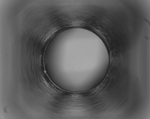 X0000103220154200809111515