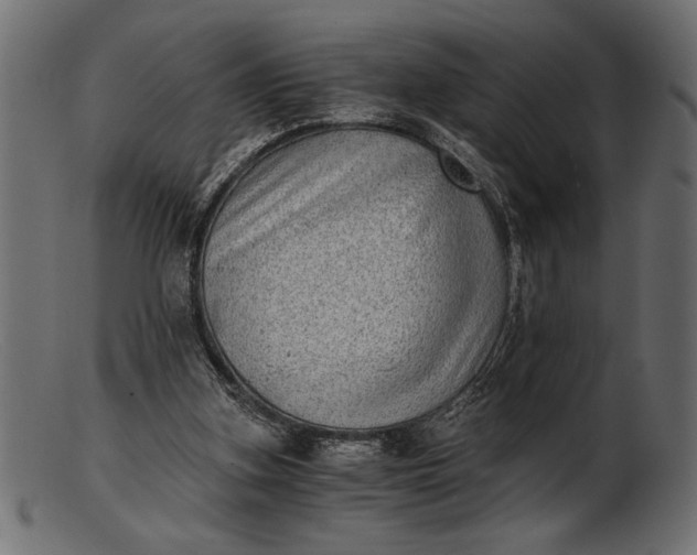 X0000103220155200809111515