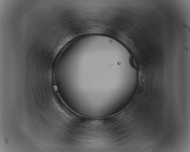 X0000103220156200809111515