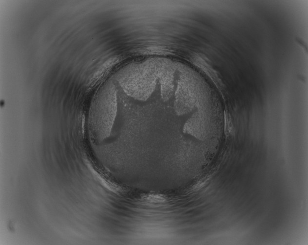 X0000103220157200809111515