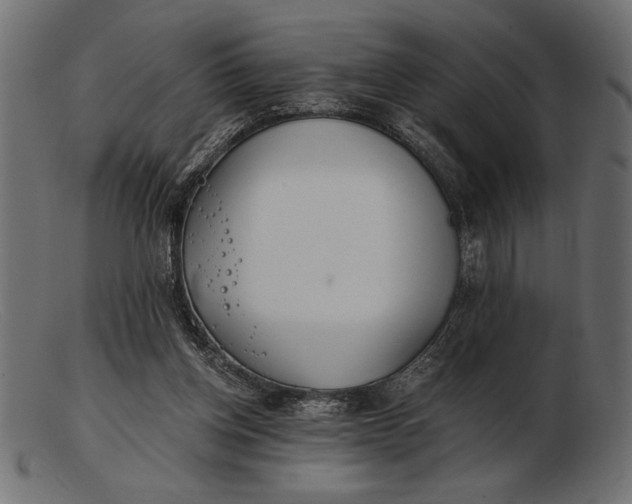 X0000103220158200809111515