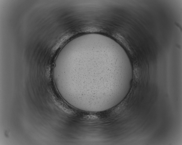 X0000103220159200809111515