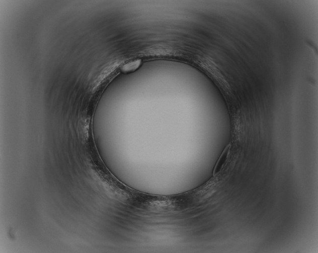 X0000103220160200809111515