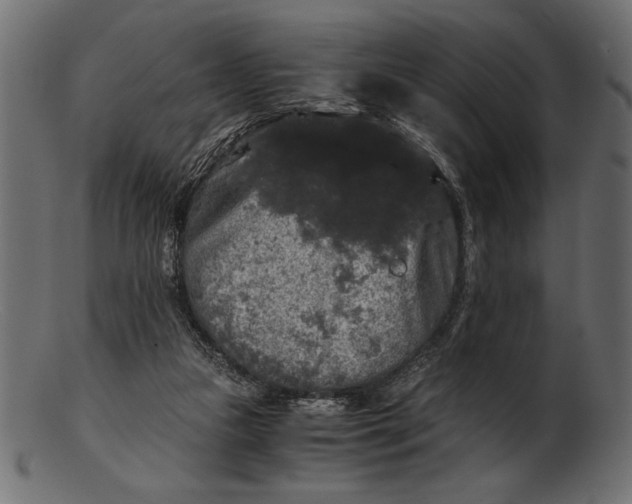 X0000103220161200809111515