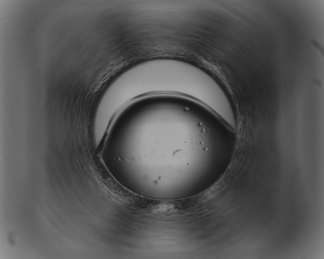 X0000103220162200809111515