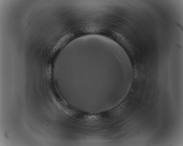 X0000103220163200809111515