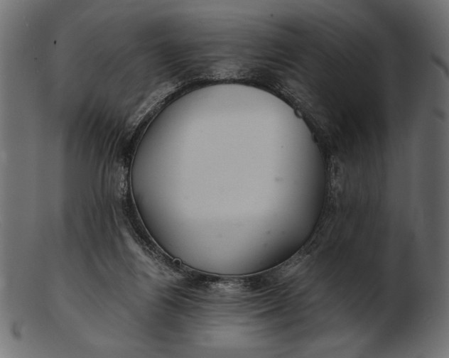 X0000103220164200809111515